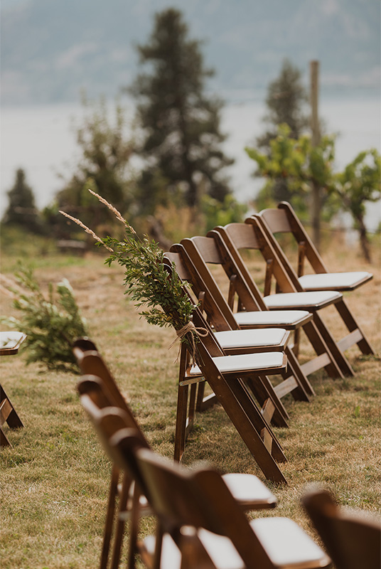 Row of chairs decorated for an outdoor wedding